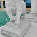 双鸭山 白麻花岗岩动物异形石雕-大象